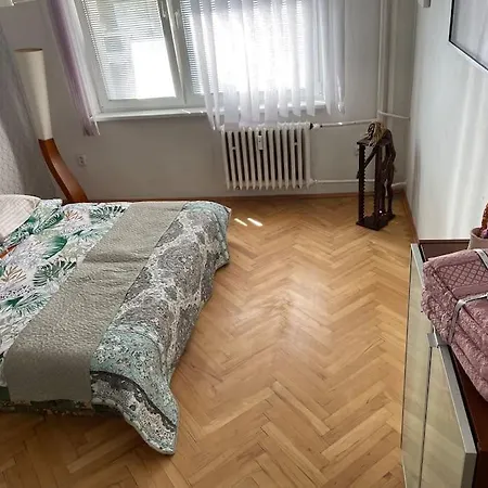2,5 Izbovy V Ruzinove S Parkovanim Zdarma Apartman