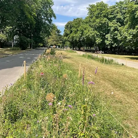 Lejlighed 2,5 Izbovy V Ruzinove Bratislava